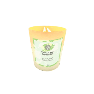 moroccan cashmere 2 wick candle
